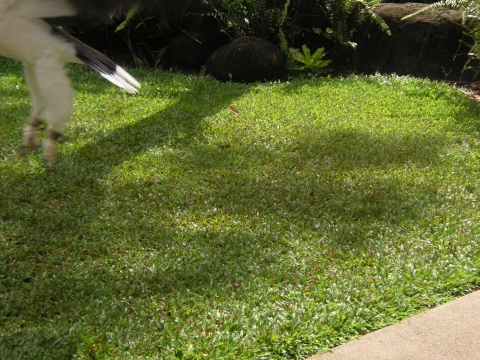 s_A_PICT0037.jpg